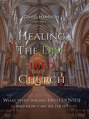 cover image of HEALING THE DIVIDED CHURCH